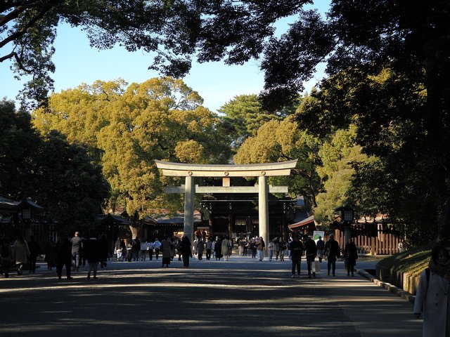 A-Winter-Day-at-Meiji-Shrine_202502