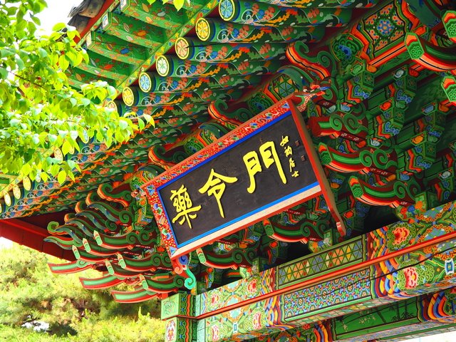 A Beautiful Afternoon at Daegu Yakryeongsi_202505