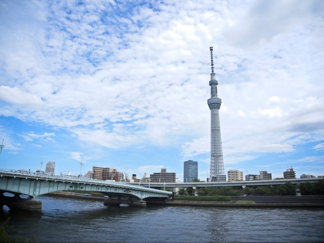 Summer at Sumida River East Bank